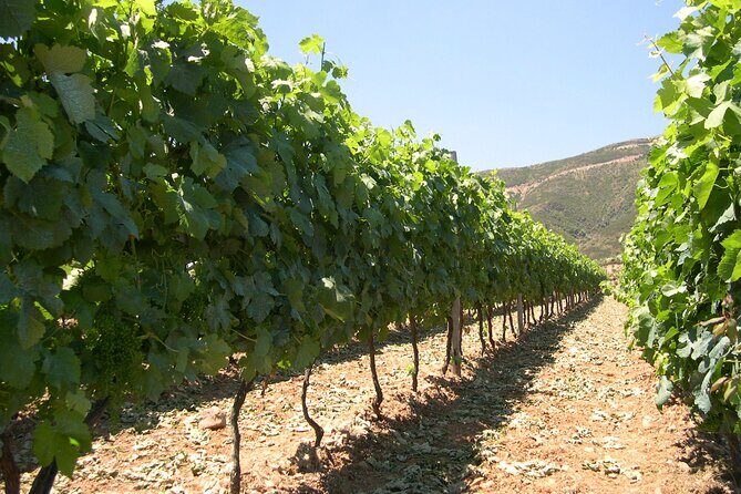 Chania 4x4 Sunset Safari Tour - Stop 2: Skonizo hilltop, citrus valleys, and the dam viewpoint