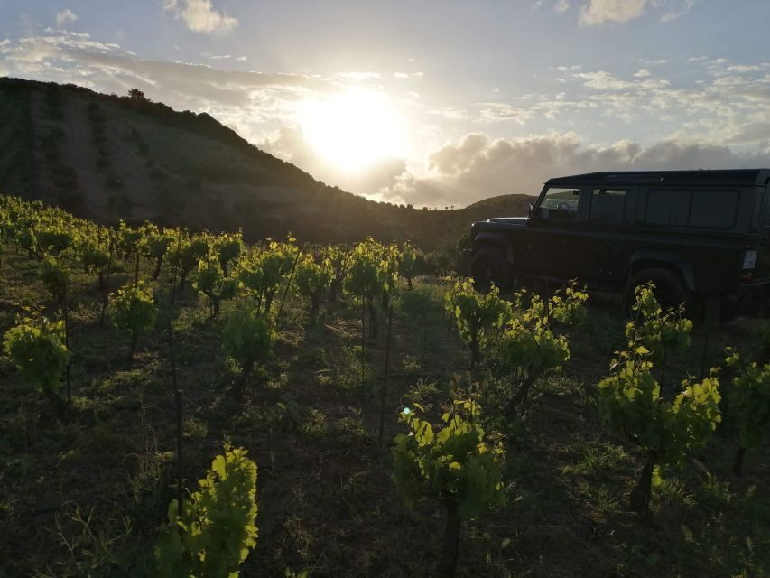 Chania 4x4 Sunset Safari Tour - What to wear and bring for comfort on rough roads