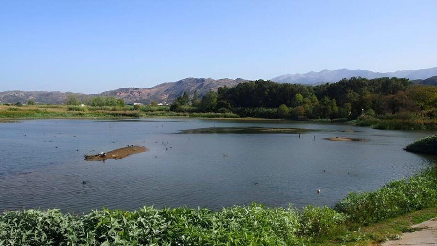 Chania Ebike Eco-Long Tour + Traditional Snack - Drakiana Park Snack Break by the River