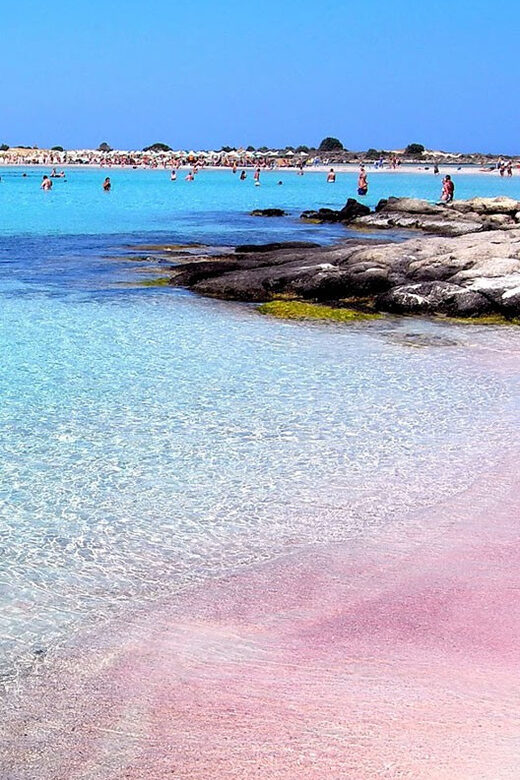 Chania: Elafonisi Bus Trip with Free Time and Stop in Elos - Key Points You’ll Actually Care About