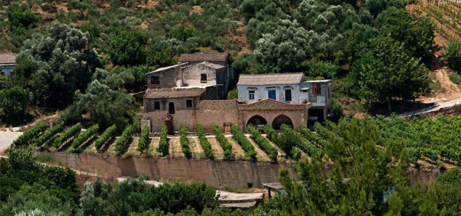 Chania: Milia Mountain Tour w/Lunch Olive Oil/Wine Tastings - Who Should Book (and Who Might Want a Smoother Day)