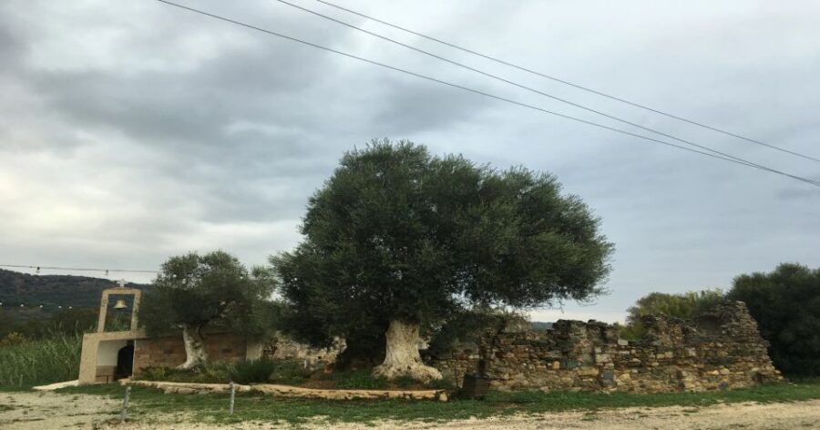 Chania Monasteries Private Tour: A Greek Orthodoxy Tribute - A private historian in the driver’s seat