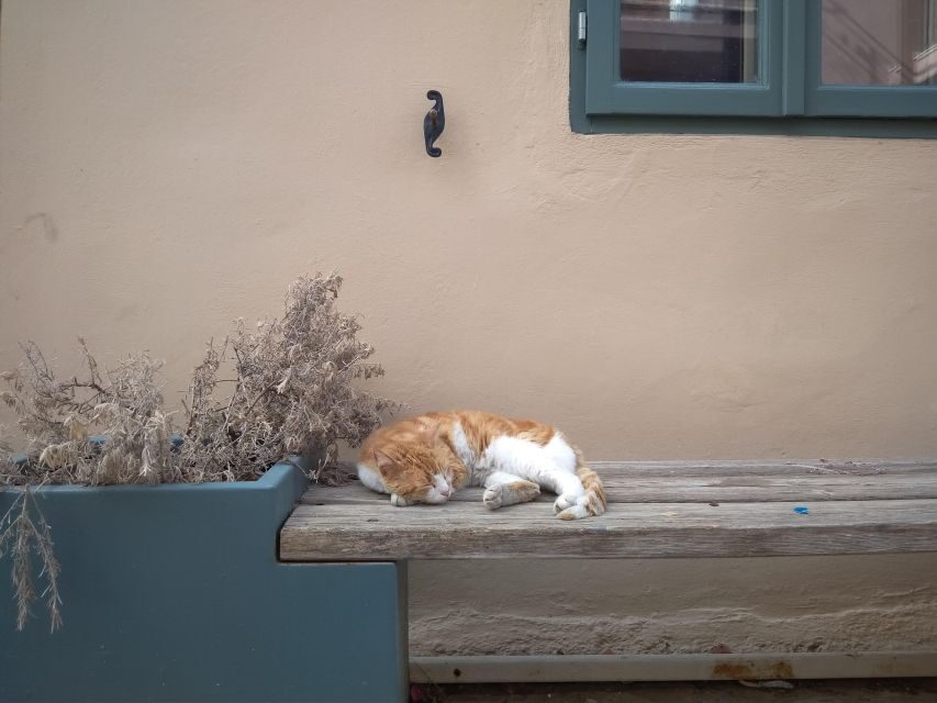 Chania Old Town: Artisans & Sightseeing Walking Tour - Should you book Chania Old Town: Artisans & Sightseeing?