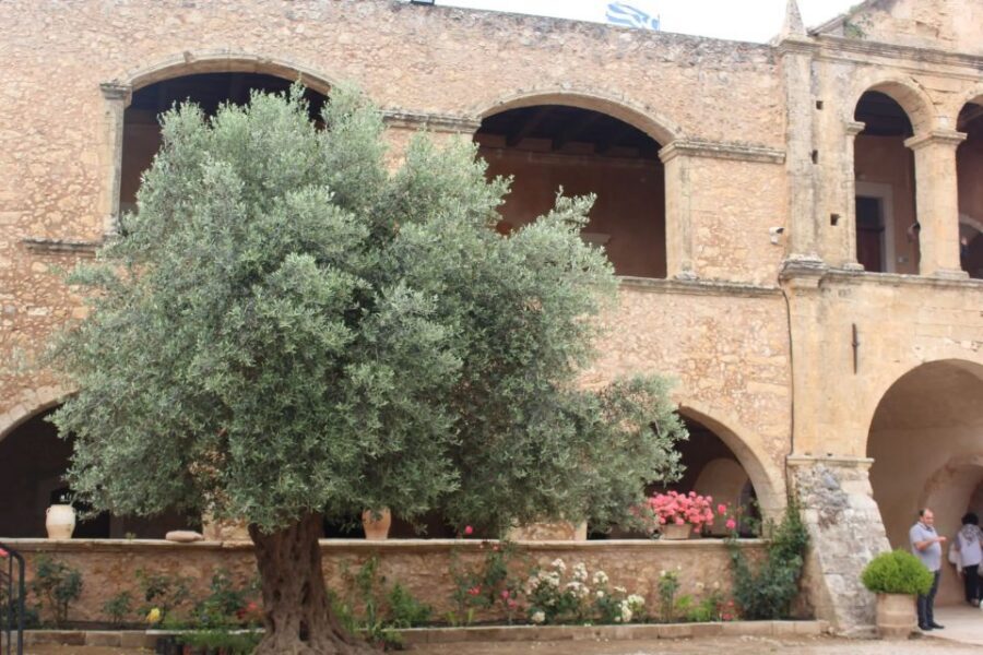Chania Private Olive Oil Tour: Oil Tasting & Villages Tour - Key Highlights You’ll Really Care About