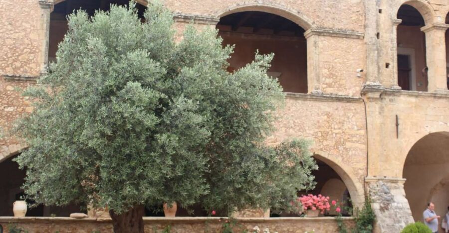 Chania Private Olive Oil Tour: Oil Tasting & Villages Tour - Valley Views, Elevated Photos, and Learning the Orchard’s Scale