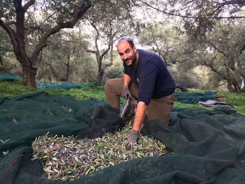 Chania Private Olive Oil Tour: Oil Tasting & Villages Tour - Modern Olive Oil Factory Tour and EVOO Tasting