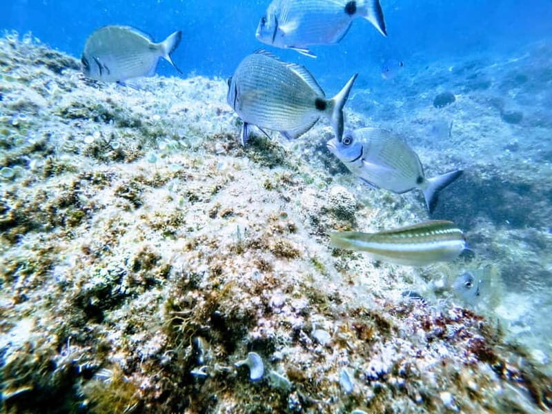 Chania: Scuba Diving for Beginners - Packing and comfort tips that make day one easier