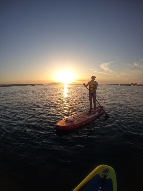 Chania: Stand-up Paddleboard Coastal Sunset Experience - Key points to know before you go