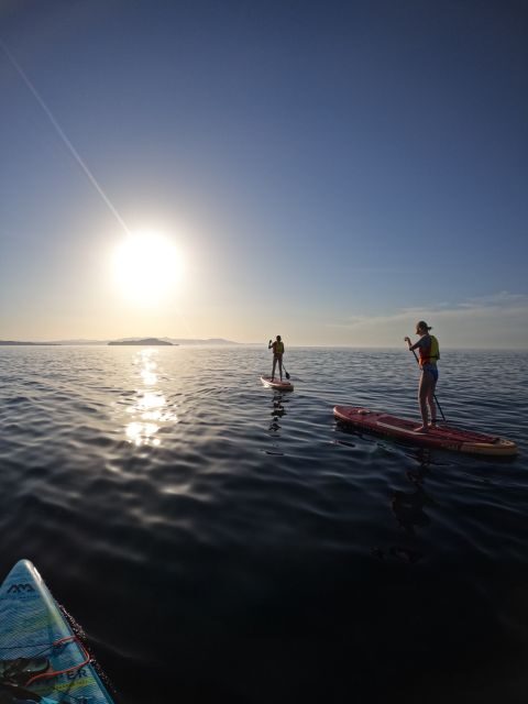 Chania: Stand-up Paddleboard Coastal Sunset Experience - SUP Basics in Chania: Getting Steady Fast