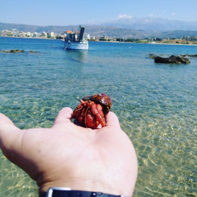 Chania Town: Glass-Bottom Boat Cruise to Thodorou & Lazareta - Captain Nestor’s Chania Glass-Bottom Cruise at a Glance