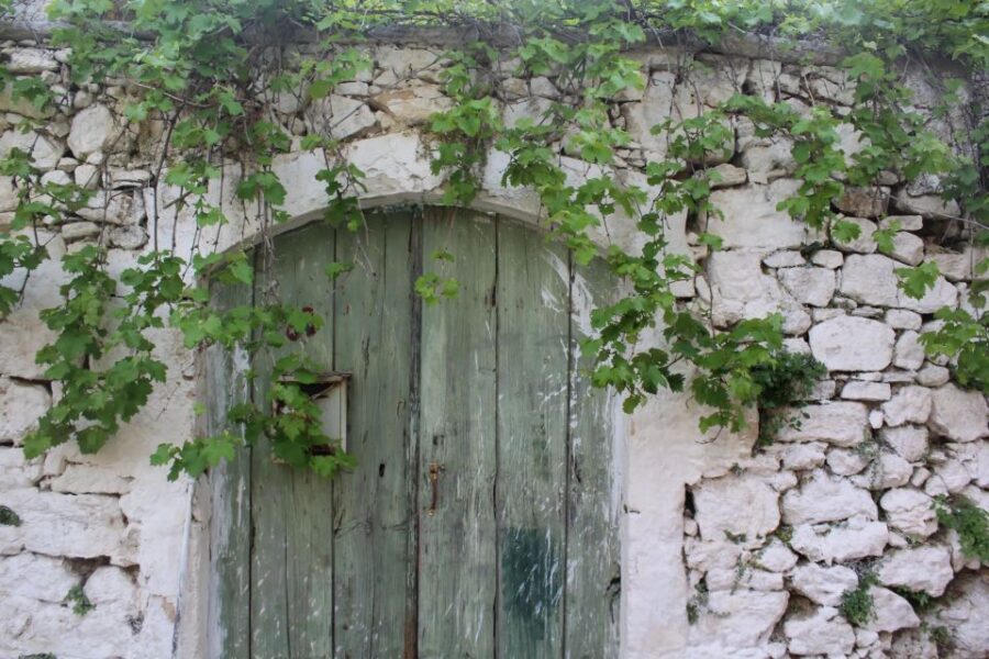 Chania Villages Private Tour: Explore the Authentic Crete! - River Valleys and “Extreme Beauty” Villages Near Apokoronas