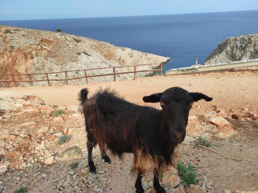 Chania Villages Private Tour: Explore the Authentic Crete! - Passing the Gorge and Reaching Therisso for the Real Pause