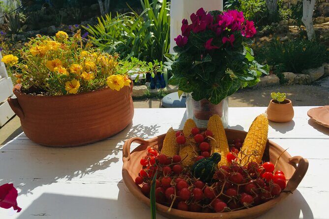 Chania White Mountains Private Tour: From Sea to Summit - Omalos and the forest preserve: your first real taste of mountain life
