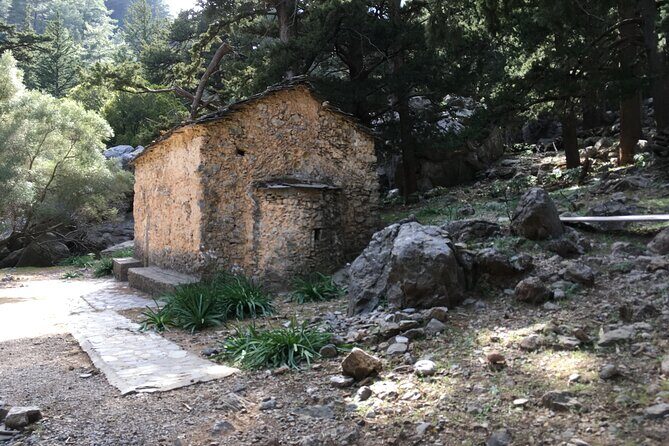 Chania White Mountains Private Tour: From Sea to Summit - Food and pacing: box lunch, free tavern meal, and small wins