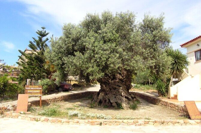 Cheese and Wine Tasting Tour From Chania - A 7-hour loop of Cretan flavor, starting in Chania