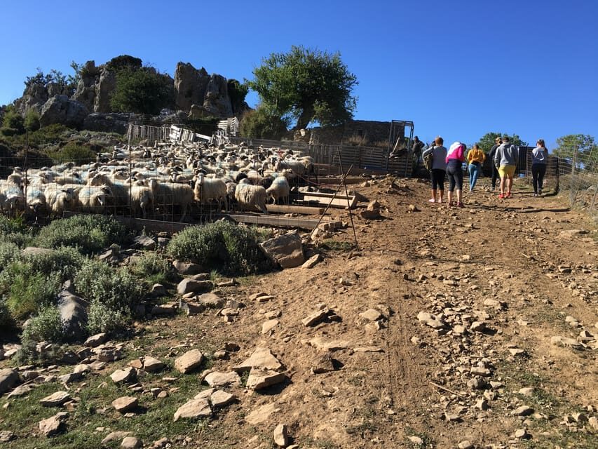 Crete: White Mountains Preserve Day Tour - The real star: Mitato shepherd’s hut at 1350m