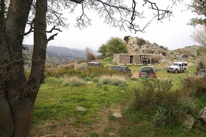 Crete White Mountains Safari Including Lunch - Wildlife and photo stops: how to get the best out of the ride