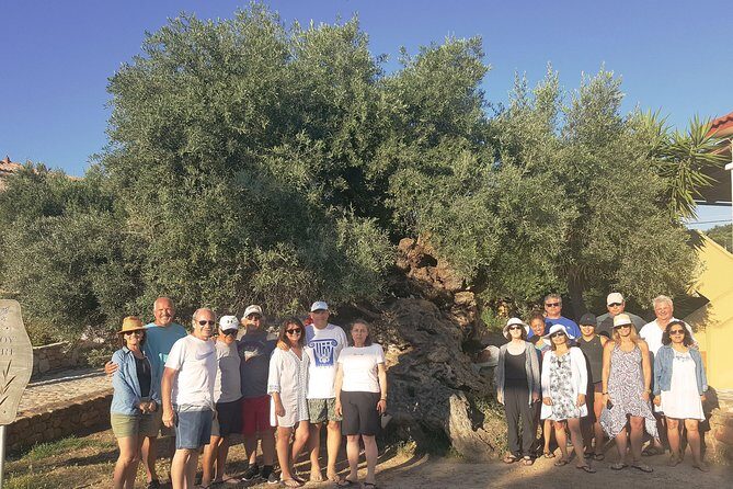 Crete Wine and Olive Oil Tour - How the tastings actually work (and how to enjoy them)