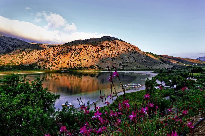 Discover Rethymno, Lake Kournas & the Secrets of Cretan Olive Oil - Price and value: what you’re really paying for