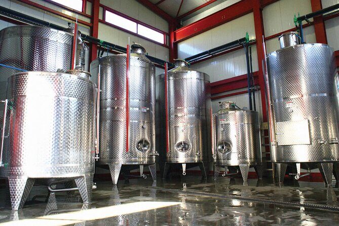 Explore the Secrets of Wine and Olives - Sempronas: Off-Road Gorges, Panoramic Vistas, and a Real Taverns Stop