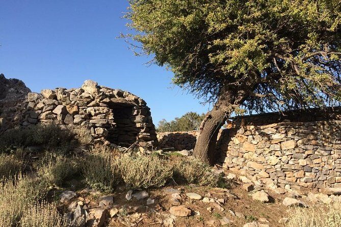 Explore the White Mountains of Crete - Price and logistics: what you’re paying for (and what you should check first)