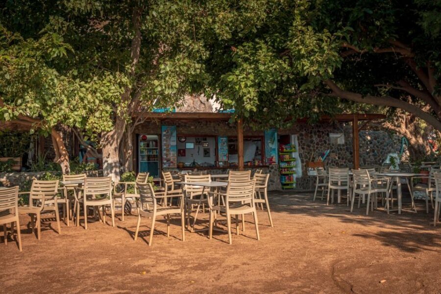 From Chania: Day Trip to Preveli Beach & Damnoni Beach - A south-coast day with Preveli palms and the river into the sea
