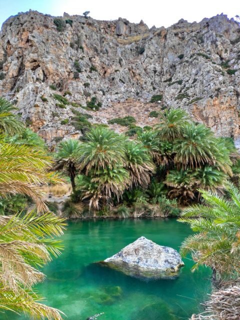 From Chania: Day Trip to Preveli Beach & Damnoni Beach - Damnoni Beach coffee stop and ferry start