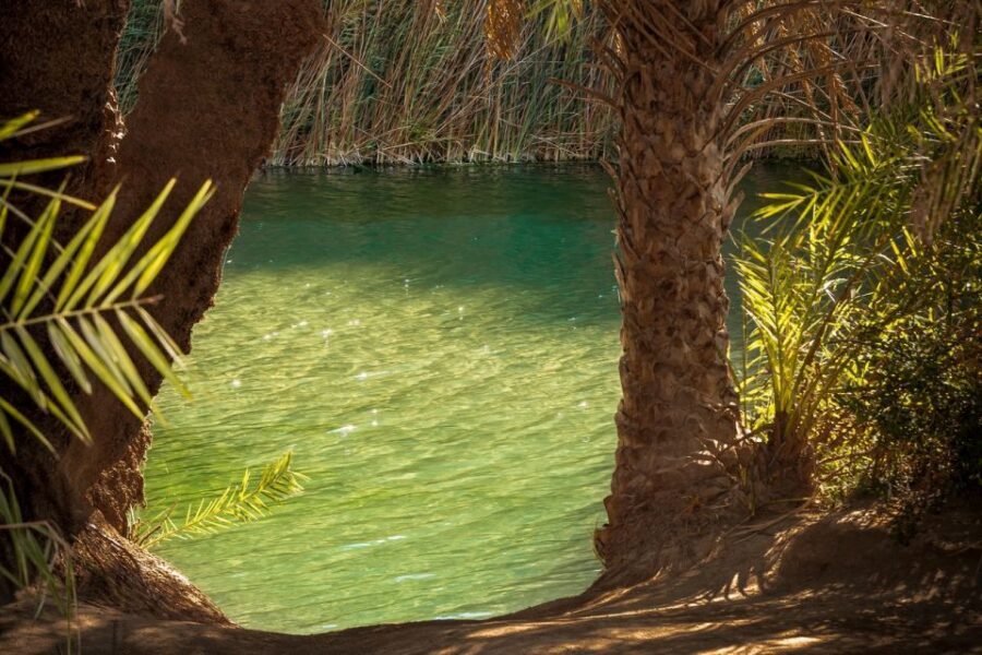 From Chania: Day Trip to Preveli Beach & Damnoni Beach - Preveli Palm Beach: palm grove, river-fed swim, and the tropical walk