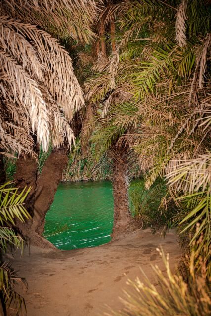 From Chania: Day Trip to Preveli Beach & Damnoni Beach - Kourtaliotiko gorge from the road: Minoans to medieval routes