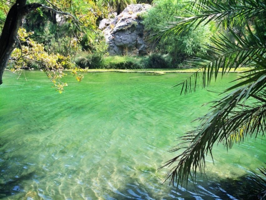 From Chania: Day Trip to Preveli Palm Beach - FAQ