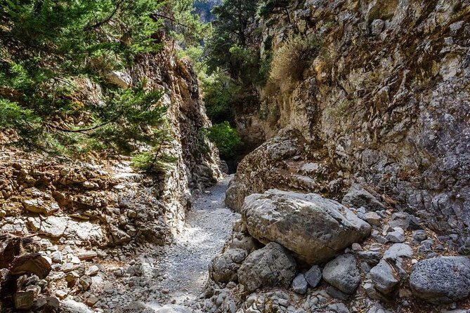From Chania: Imbros Gorge and Sfakia Experience Hike & Swim - From Chania pickup to a 7:30 start