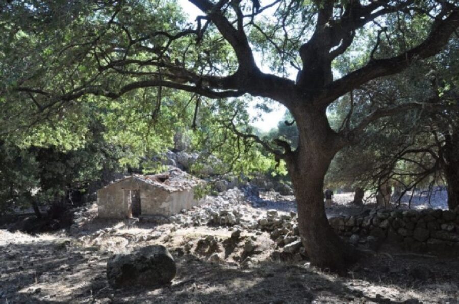 From Chania: Imbros Gorge Guided Hike and Village Visit - The Ride: Pickup Options, Timing, and Real Comfort