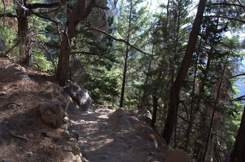 From Chania/Kalyves: Full-Day Samaria Gorge Hiking Day Trip - Who should book this Samaria Gorge day trip—and who should skip it