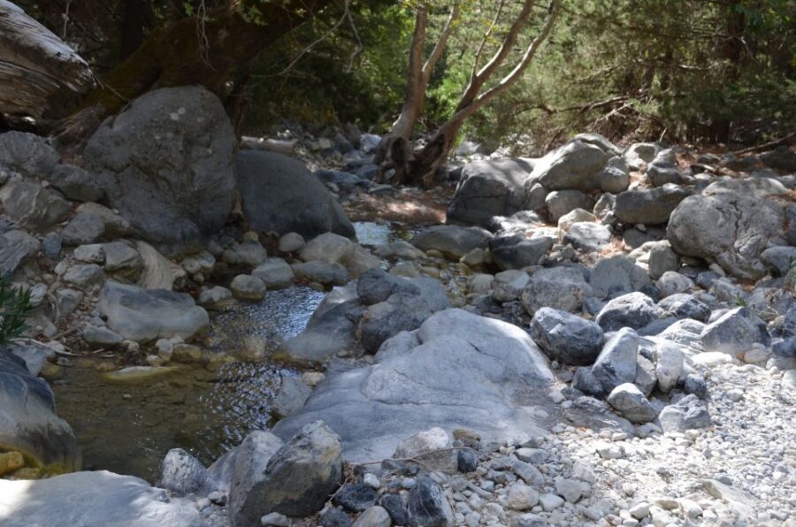 From Chania/Kalyves: Full-Day Samaria Gorge Hiking Day Trip - The Samaria Gorge hike with a guide: your pace, the real tough parts