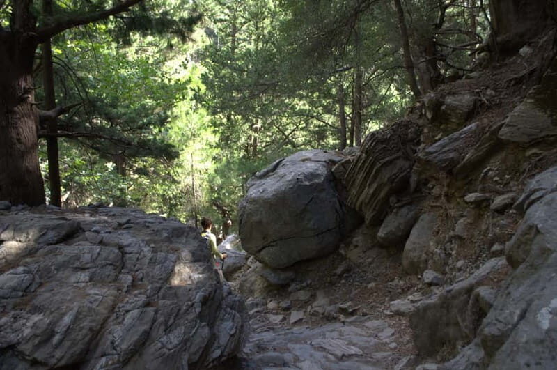 From Chania/Kalyves: Full-Day Samaria Gorge Hiking Day Trip - Agia Roumeli break: beach time, lunch, and what to do with 4 hours