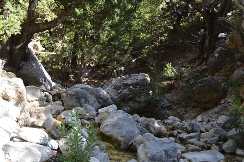 From Chania/Kalyves: Full-Day Samaria Gorge Hiking Day Trip - Price and value check: what $32.75 covers, and what doesn’t