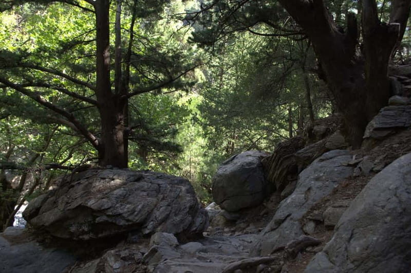 From Chania/Kalyves: Full-Day Samaria Gorge Hiking Day Trip - What to bring (and what to avoid) so the day doesn’t hurt more than it should