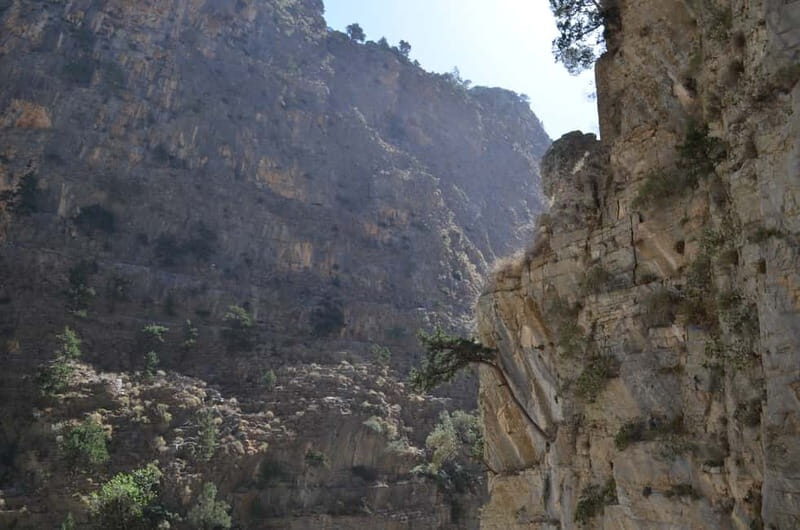 From Chania/Kalyves: Full-Day Samaria Gorge Hiking Day Trip - Getting from Chania/Kalyves to Omalos: long day, smart logistics