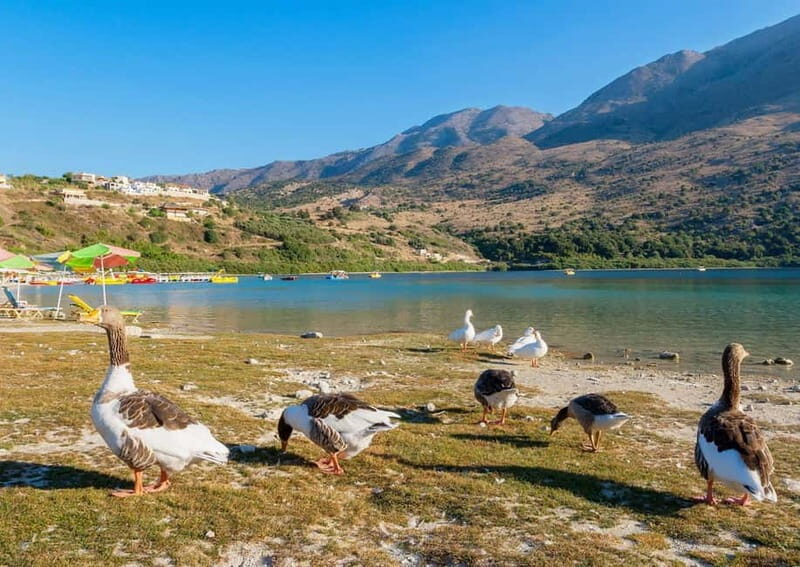 From Chania: Lake Kournas & Argiroupoli Springs Guided Tour - Ancient Lappa: a scenic village walk with big viewpoint payoff