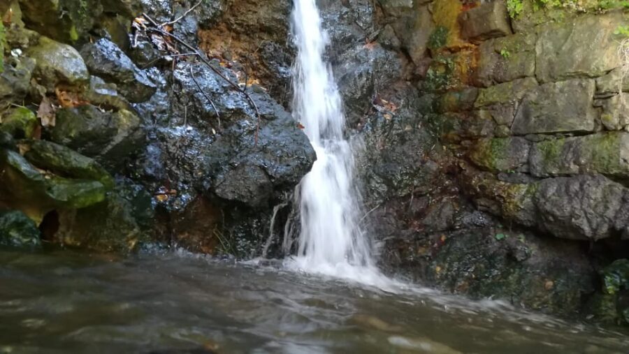 From Chania: Lake Kournas & Argiroupoli Springs Guided Tour - What makes this tour feel worth it: guided flow and real time