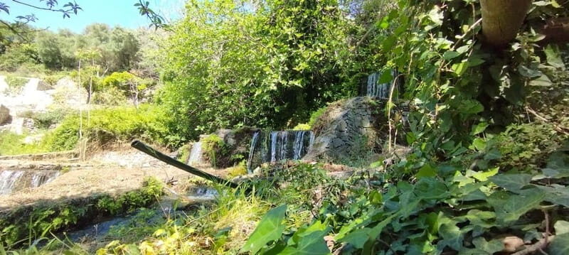 From Chania: Lake Kournas & Argiroupoli Springs Guided Tour - Who should book this Kournas–Lappa–Argiroupoli day