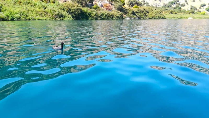 From Chania: Lake Kournas & Argiroupoli Springs Guided Tour - Kournas Lake: swim, relax, and choose your own pace