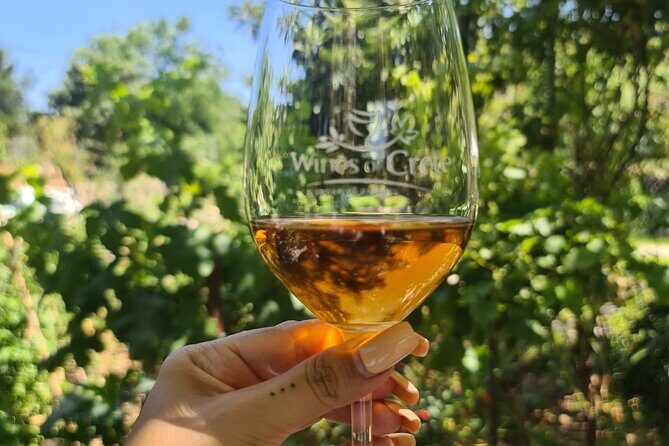 From Chania Private half day Winery-Olive factory-Kournas lake - Who should book this tour from Chania (and who might not)