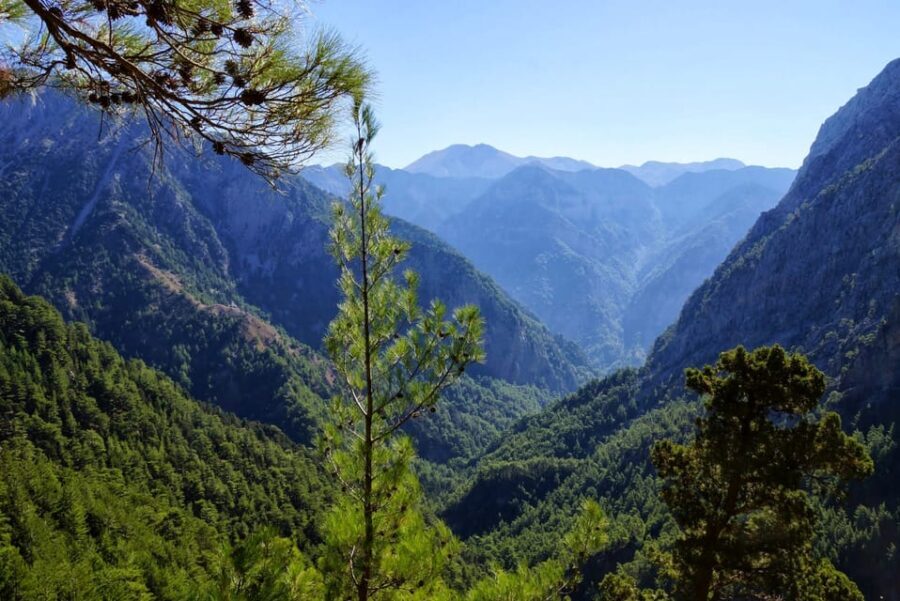 From Chania/Rethymno: Samaria Gorge Easy Way - Key highlights worth planning for