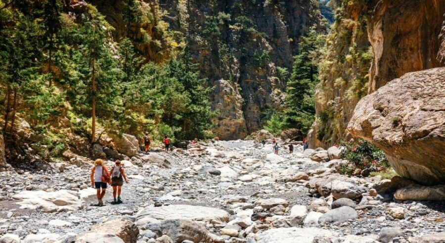 From Chania/Rethymno: Samaria Gorge Easy Way - Omalos stop: short break, big reset before the main outing