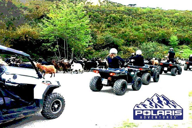Half-Day Rethymno Quad Safari - Riding the north-coast back roads: terrain, speed, and focus