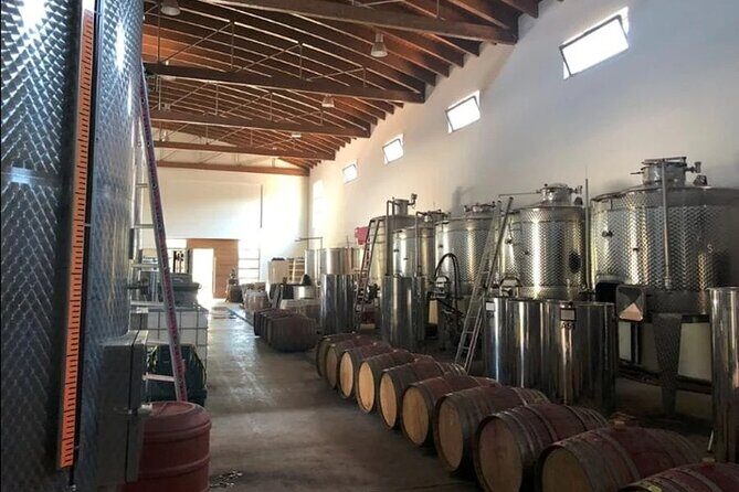 Manousakis Winery Shuttle Service Tour and Taste - At Manousakis Winery: what the tour on the grounds actually gives you