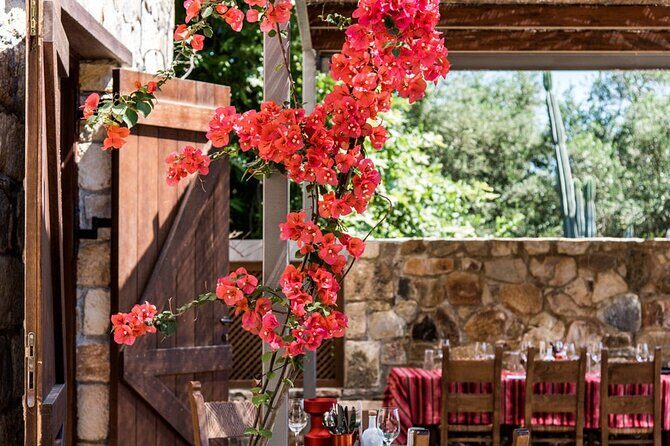 Manousakis Winery Shuttle Service Tour and Taste - Five wines on the terrace: how the tasting works and how to approach it
