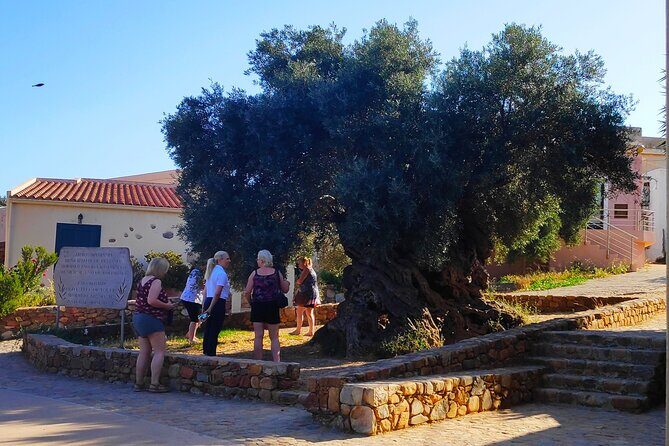 Monastery - Ancient Olive tree & Museum-Cretan Brewery Private Tour from Chania - Included tastings: Greek coffee, olive oil, and beer