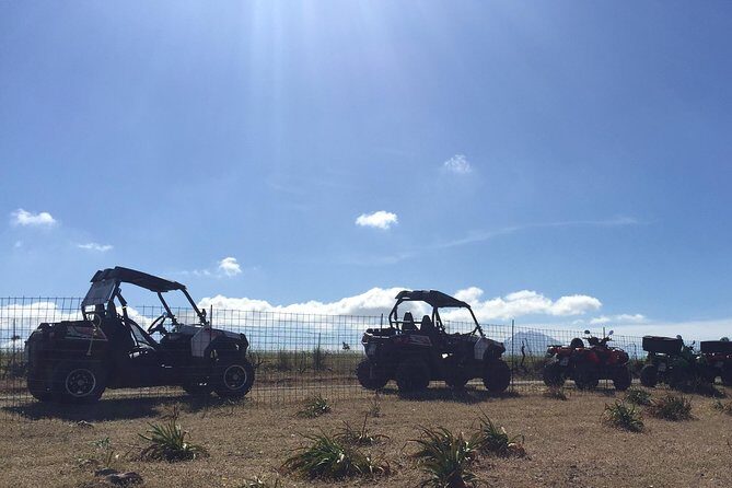 Polaris Buggy 4-Hour Safari from Rethymno Town - Gidospito and Potami Dam Lake: Kafeneion Coffee, Real Break Time
